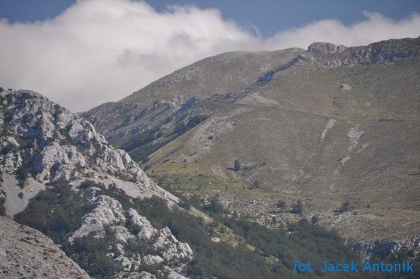 widok na Sveto Brdo