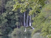 Plitvice-2011_dsc_0115