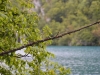 Plitvice-2011_dsc_0228