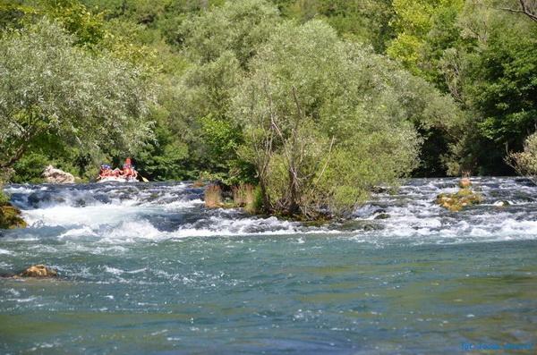 rafting Cetina