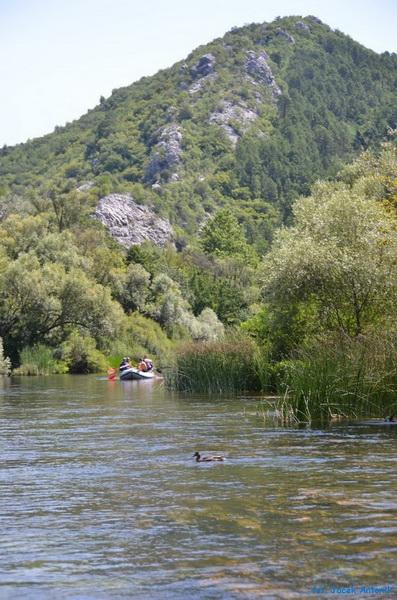 rafting Cetina